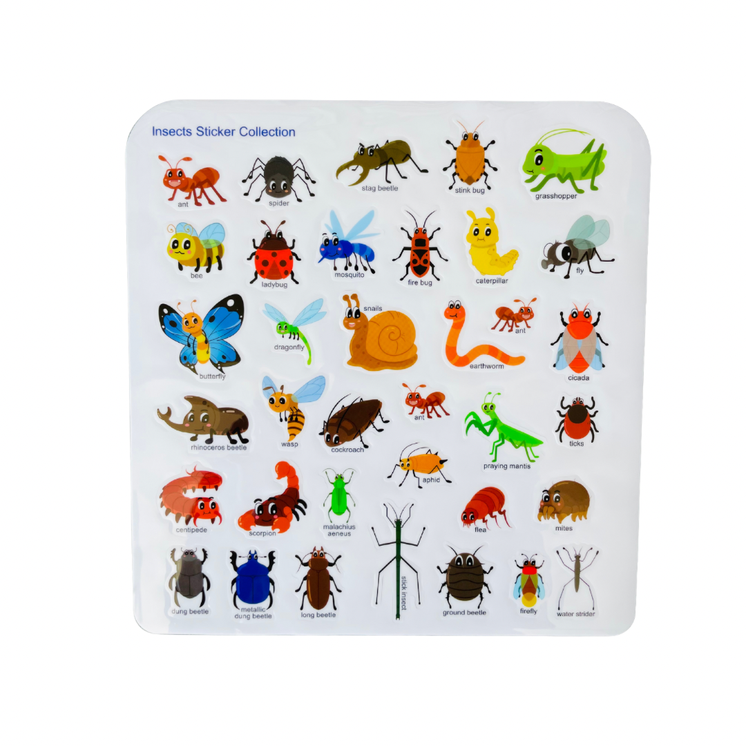 Sticker Book réutilisable thème Insectes - Anglais